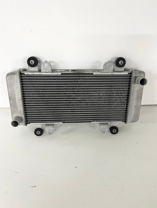 2013 2014 2015 2016 2017 Kawasaki Ninja 300 radiator (GM ID# 001513 )