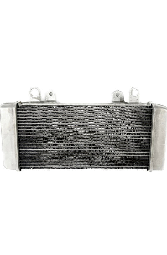 2013 2014 2015 2016 2017 Kawasaki ninja 300 radiator 39060-0710 ( 001039 )