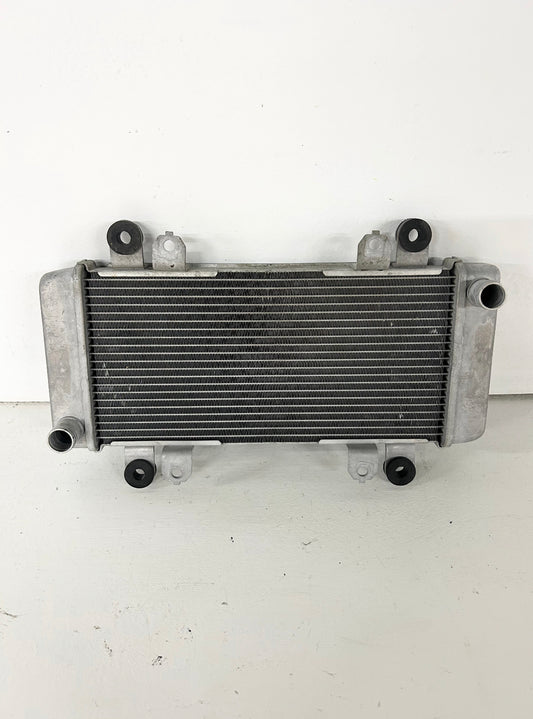2013 2014 2015 2016 2017 Kawasaki Ninja 300 radiator (GM ID# 001381 )